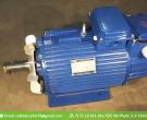 Cung cấp phân phối Motor dẫn động dọc tại Bình Dương