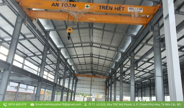 Thiết kế thi công lắp đặt cầu trục tại Tp. Hồ Chí Minh